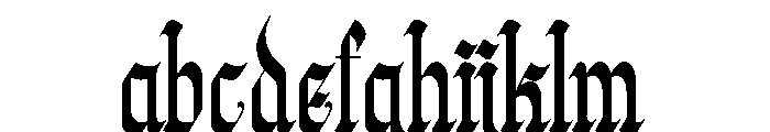 Wielgard FONT