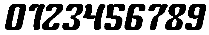 Wild Cat Italic Font OTHER CHARS