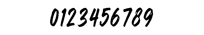 Wild Crack Font OTHER CHARS