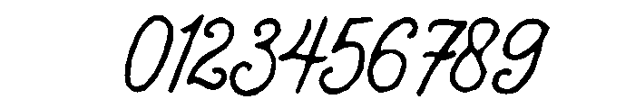 Wild Fragment Script Font OTHER CHARS