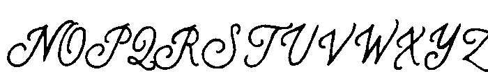 Wild Fragment Script Font UPPERCASE