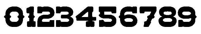 Wild Howdy Font OTHER CHARS
