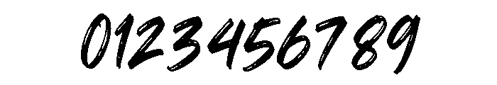 Wild Taker Font OTHER CHARS
