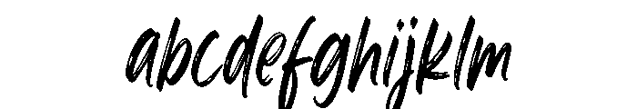 Wild Taker FONT