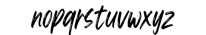 Wild Taker Font LOWERCASE
