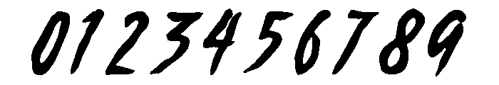 Wild Thunder Regular Font OTHER CHARS