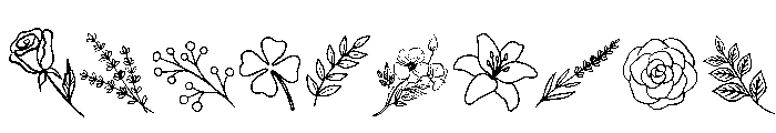 Wildflower Doodles Font OTHER CHARS