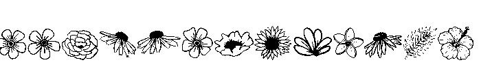 Wildflower Doodles Font UPPERCASE