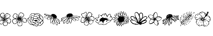 Wildflower Doodles FONT