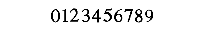 Wildflower Infinity Font OTHER CHARS