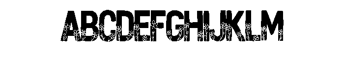 Wildflower Spring Bold  Regular FONT