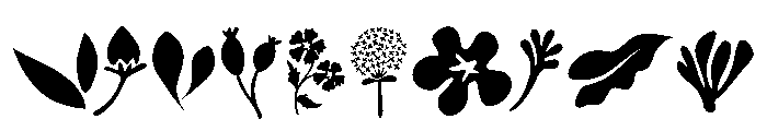 Wildflowers Boho Font OTHER CHARS