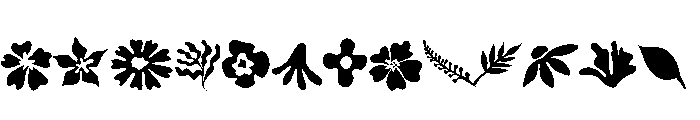 Wildflowers Boho Font UPPERCASE