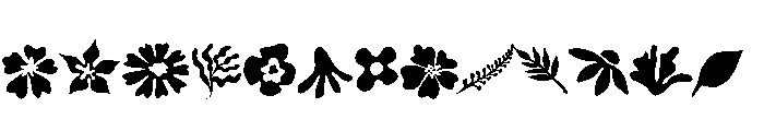 Wildflowers Boho FONT