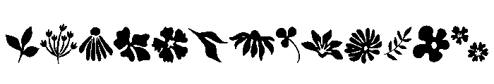 Wildflowers Boho Font LOWERCASE