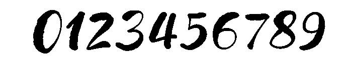 Wildwritten Alt B Plus Italic Font OTHER CHARS