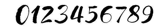 Wildwritten Italic Font OTHER CHARS