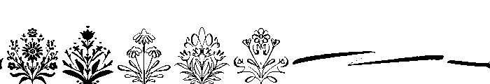 Wildwritten Ornaments Font UPPERCASE
