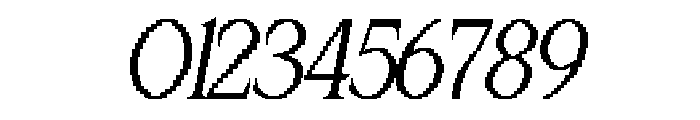 WindrawAesthetic-Italic Font OTHER CHARS