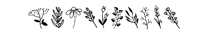 Winter flower leaf Font OTHER CHARS