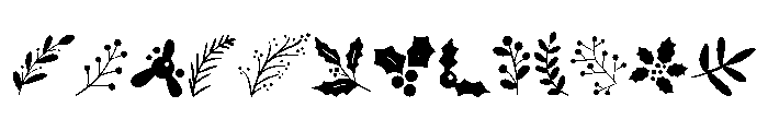 Winter flower leaf FONT