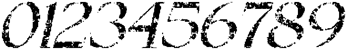Wikolia Stamp Italic otf (400) Font OTHER CHARS