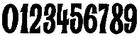 Wild Jungle Regular otf (400) Font OTHER CHARS
