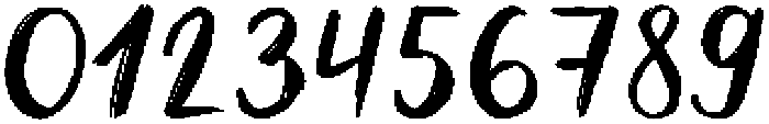Wild Nature otf (400) Font OTHER CHARS