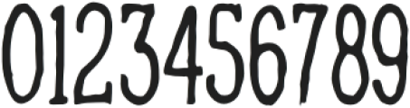 Wild & Noise Regular otf (400) Font OTHER CHARS