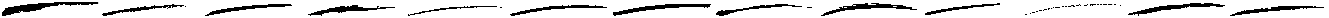 Wild Zova Swashes ttf (400) FONT