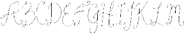 WildLilies Clean otf (400) Font UPPERCASE