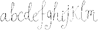 WildLilies Clean otf (400) FONT