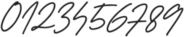 Wilde Paperie Regular ttf (400) Font OTHER CHARS