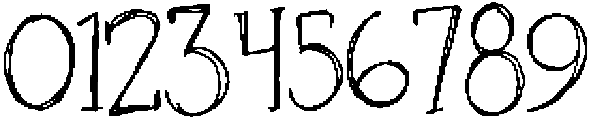 Wildflower Petals Serif Regular otf (400) Font OTHER CHARS