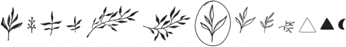 Wildflower Symbols Regular otf (400) Font UPPERCASE