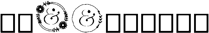 Wildflower otf (400) Font OTHER CHARS