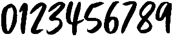 Wildflower otf (400) Font OTHER CHARS