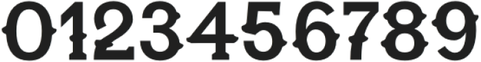 Wildrin Serif Regular otf (400) Font OTHER CHARS