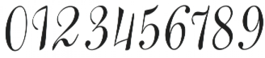 Willshering Regular otf (400) Font OTHER CHARS