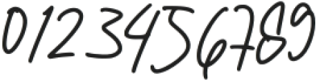 Windya Signature Regular otf (400) Font OTHER CHARS