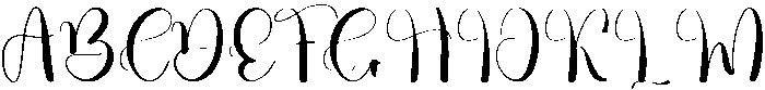 Winter Amsterdam Regular otf (400) Font UPPERCASE