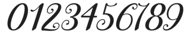 Winterday Italic Italic otf (400) Font OTHER CHARS