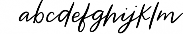 Wild Indigo Script Font Font LOWERCASE