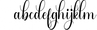 Wild Love - Lovely Calligraphy Font LOWERCASE