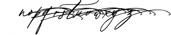 Wild Magnolia Signature Script Font Font LOWERCASE