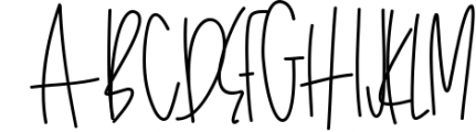 Wildflowers - A Handwritten Script Font Font UPPERCASE
