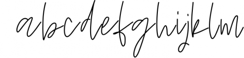 Wildflowers - A Handwritten Script Font Font LOWERCASE