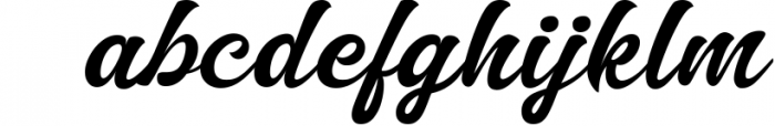 Willian Elegant Bold Script Font LOWERCASE