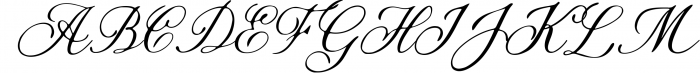 Winterante // Christmas Script Font Font UPPERCASE