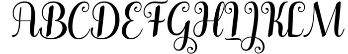 Winterday - Elegant Calligraphy font Font UPPERCASE